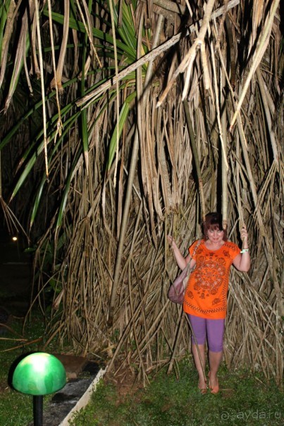 Отдых в отеле Villa okean view в Шри-Ланке и экскурсии.