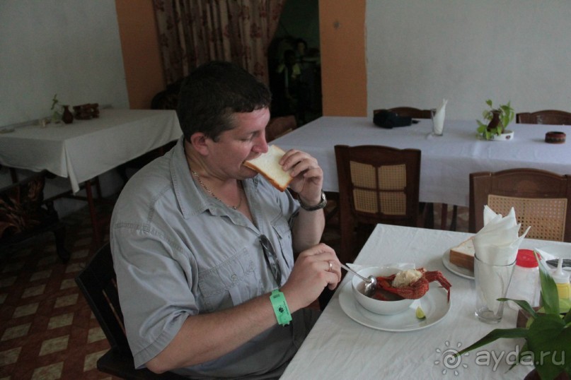 Отдых в отеле Villa okean view в Шри-Ланке и экскурсии.