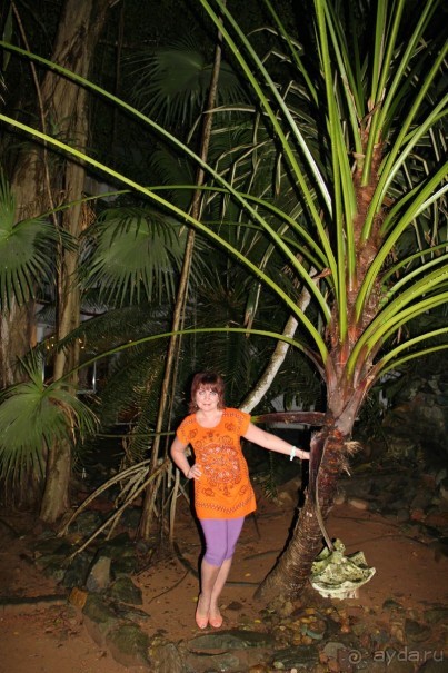 Отдых в отеле Villa okean view в Шри-Ланке и экскурсии.