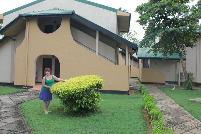 Отдых в отеле Villa okean view в Шри-Ланке и экскурсии.