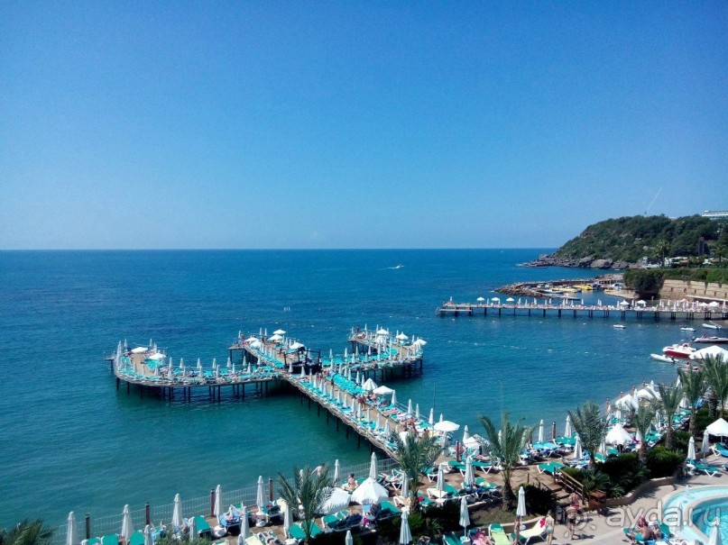 фото Hayfield Manor