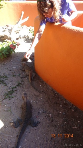 СУПЕР ОТЕЛЬ!!!