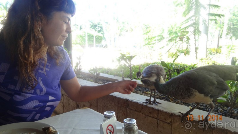 СУПЕР ОТЕЛЬ!!!