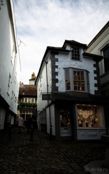 Альбом отзыва "СНОВА ВИНДЗОР"