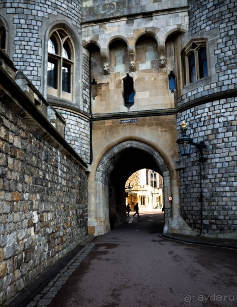 СНОВА ВИНДЗОР