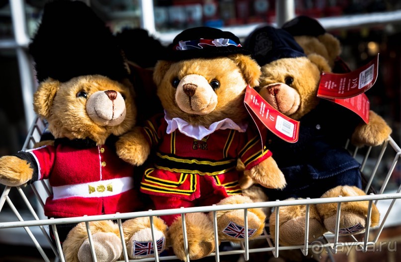 СНОВА ВИНДЗОР