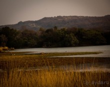 ВЕРБЛЮД И ОБЕЗЬЯНА, КУДА КОНЬ С КОПЫТОМ, ТУДА И РАК С КЛЕШНЕЙ