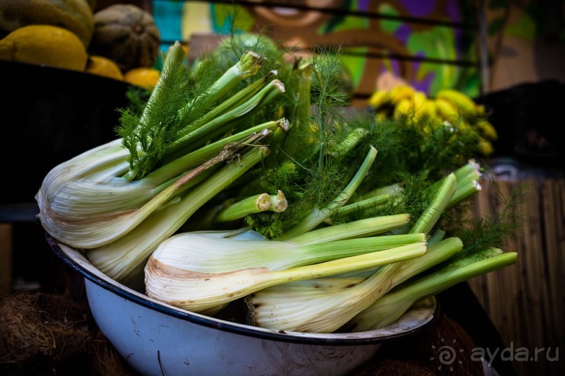 Альбом отзыва "РЫНОК ПЕШ ПЕШИМ В ТЕЛЬ АВИВЕ"