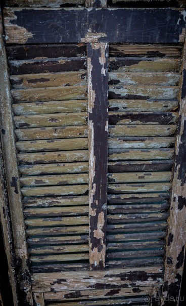 Альбом отзыва "РЫНОК ПЕШ ПЕШИМ В ТЕЛЬ АВИВЕ"