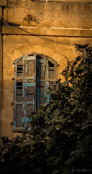 РЫНОК ПЕШ ПЕШИМ В ТЕЛЬ АВИВЕ