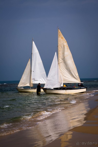 УТРОМ В БАТ ЯМЕ ВДОЛЬ БЕРЕГА МОРЯ