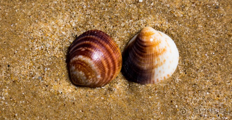 УТРОМ В БАТ ЯМЕ ВДОЛЬ БЕРЕГА МОРЯ