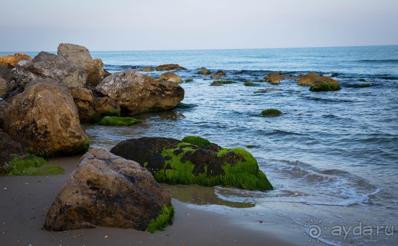 УТРОМ В БАТ ЯМЕ ВДОЛЬ БЕРЕГА МОРЯ