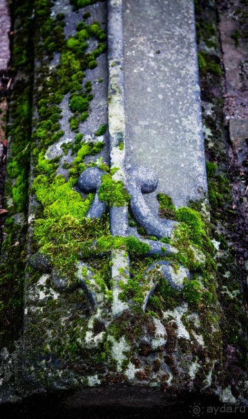MELTON MOWBRAY В ДЕКАБРЕ - АННА КЛЕВСКАЯ И РЫНОК. TAMWORTH CASTLE И РЫНОК В ДЕКАБРЕ