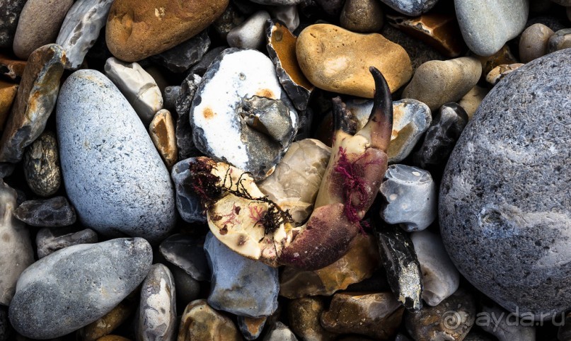 CROMER В НОРФОЛКЕ- СИНЕЕ НЕБО, СИНЕЕ МОРЕ