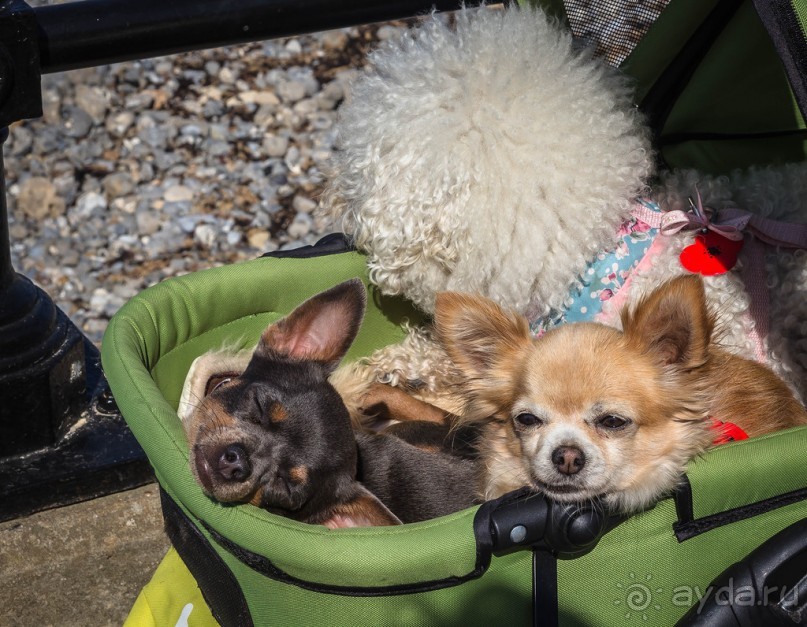 CROMER В НОРФОЛКЕ- СИНЕЕ НЕБО, СИНЕЕ МОРЕ