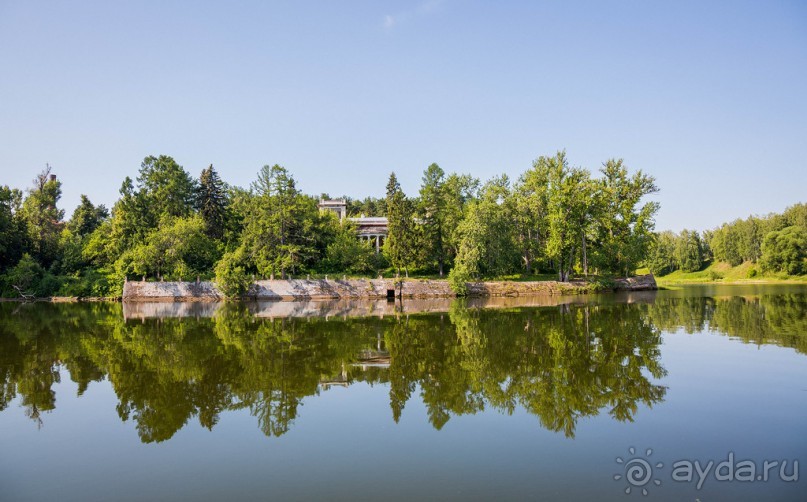 КИНЕШМА - РАЗНОЕ. РЫНОЧЕК В КИНЕШМЕ ЛЕТОМ