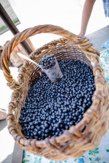 КИНЕШМА - РАЗНОЕ. РЫНОЧЕК В КИНЕШМЕ ЛЕТОМ