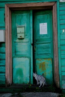 КИНЕШМА - РАЗНОЕ. РЫНОЧЕК В КИНЕШМЕ ЛЕТОМ