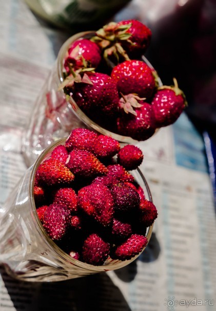 фото Кинешмы