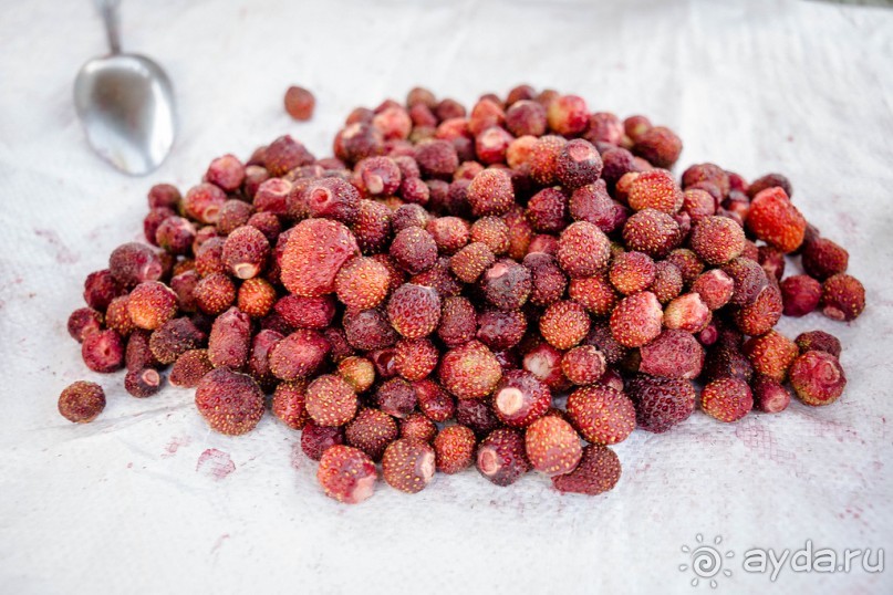 фото Кинешмы