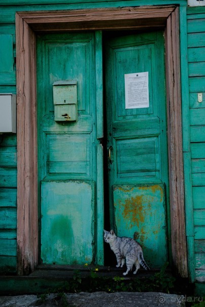 Альбом отзыва "КИНЕШМА - РАЗНОЕ. РЫНОЧЕК В КИНЕШМЕ ЛЕТОМ"