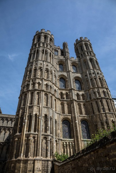 Собор в Или - фестиваль цветов - июнь 2018