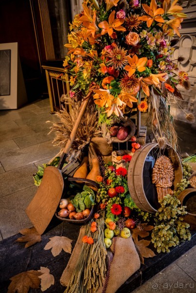 Собор в Или - фестиваль цветов - июнь 2018