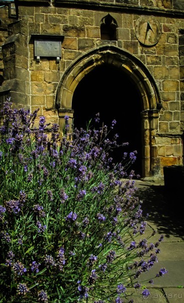 БЕЙКВЕЛЛ (BAKEWELL)