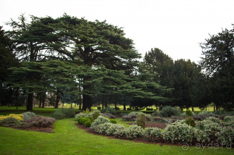 ВОЛЛАТОН ПАРК В НОТТИНГЕМЕ