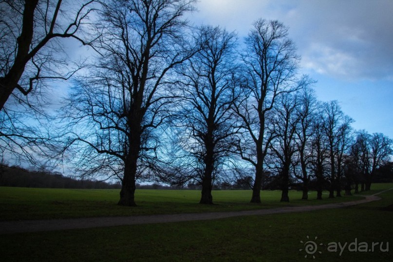 ВОЛЛАТОН ПАРК В НОТТИНГЕМЕ
