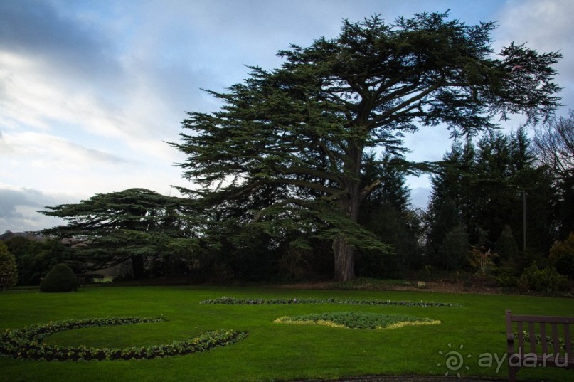ВОЛЛАТОН ПАРК В НОТТИНГЕМЕ