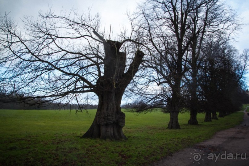 ВОЛЛАТОН ПАРК В НОТТИНГЕМЕ