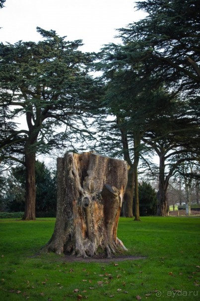 ВОЛЛАТОН ПАРК В НОТТИНГЕМЕ