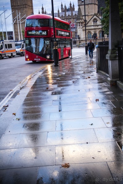 УТРО В ЛОНДОНЕ У ТЕМЗЫ