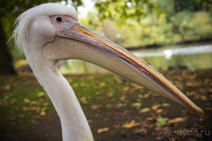 ЛОНДОН В СУББОТУ И В ВОСКРЕСЕНЬЕ - ТУРИСТИЧЕСКИЙ И НЕ ОЧЕНЬ