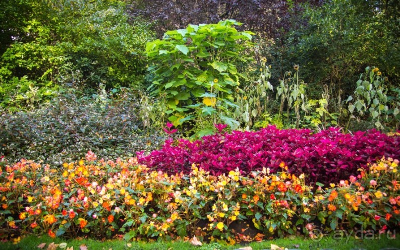 ЛОНДОН В СУББОТУ И В ВОСКРЕСЕНЬЕ - ТУРИСТИЧЕСКИЙ И НЕ ОЧЕНЬ