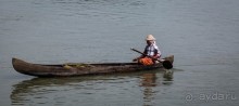 Альбом отзыва "СКАЗКА О ЗОЛОТОЙ РЫБКЕ. РАСКАДРОВКА И РЫБАК, КОТОРЫЙ СТАВИТ ЛОВУШКУ НА КРАБА - ЧЕРАЙ БИЧ"