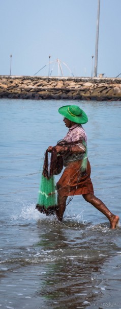 СКАЗКА О ЗОЛОТОЙ РЫБКЕ. РАСКАДРОВКА И РЫБАК, КОТОРЫЙ СТАВИТ ЛОВУШКУ НА КРАБА - ЧЕРАЙ БИЧ