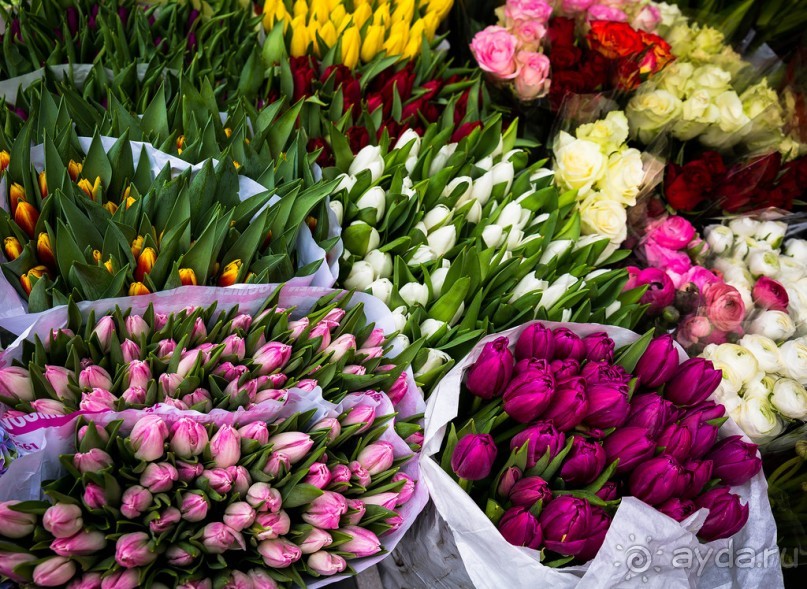 ЛЮДИ НА УЛИЦАХ ЛОНДОНА В КОНЦЕ (окончание)