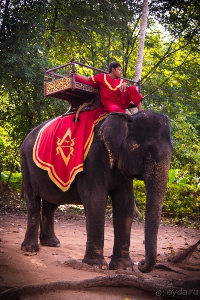 АНГКОР ВАТ - ТРИ ДНЯ В КАМБОДЖЕ