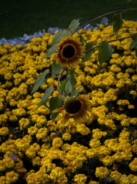 ПРОГУЛКА ПО ГРИНВИЧУ В АВГУСТЕ - АРХИТЕКТУРА И РАЗНОЕ