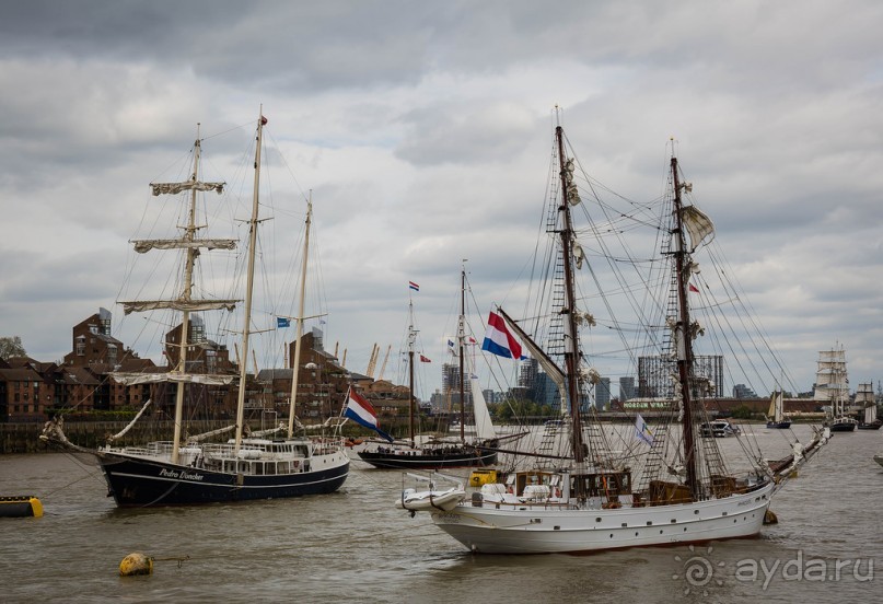 GREENWICH REGATTA 2017: ЛЮДИ, КОРАБЛИ, ЦВЕТЫ