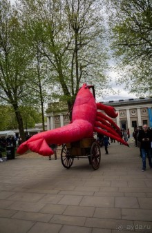 GREENWICH REGATTA 2017: ЛЮДИ, КОРАБЛИ, ЦВЕТЫ