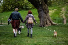 GREENWICH REGATTA 2017: ЛЮДИ, КОРАБЛИ, ЦВЕТЫ