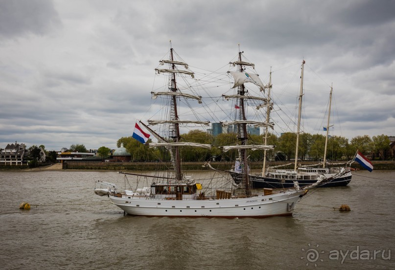 GREENWICH REGATTA 2017: ЛЮДИ, КОРАБЛИ, ЦВЕТЫ