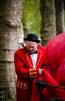 GREENWICH REGATTA 2017: ЛЮДИ, КОРАБЛИ, ЦВЕТЫ