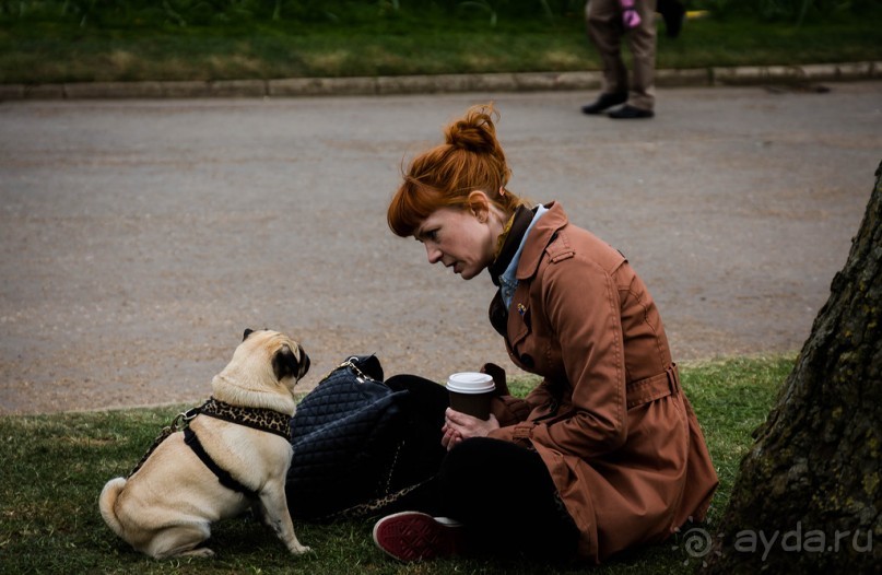 GREENWICH REGATTA 2017: ЛЮДИ, КОРАБЛИ, ЦВЕТЫ