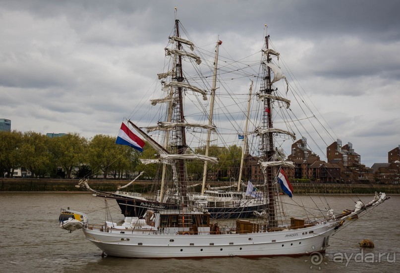 GREENWICH REGATTA 2017: ЛЮДИ, КОРАБЛИ, ЦВЕТЫ