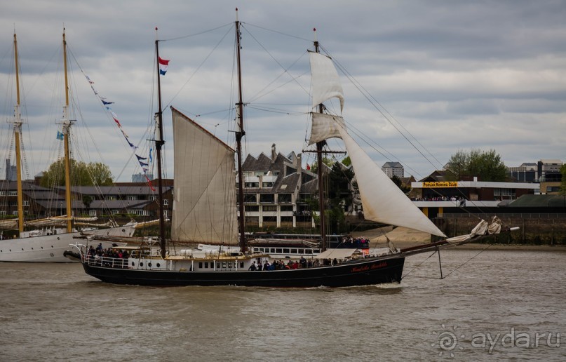 GREENWICH REGATTA 2017: ЛЮДИ, КОРАБЛИ, ЦВЕТЫ